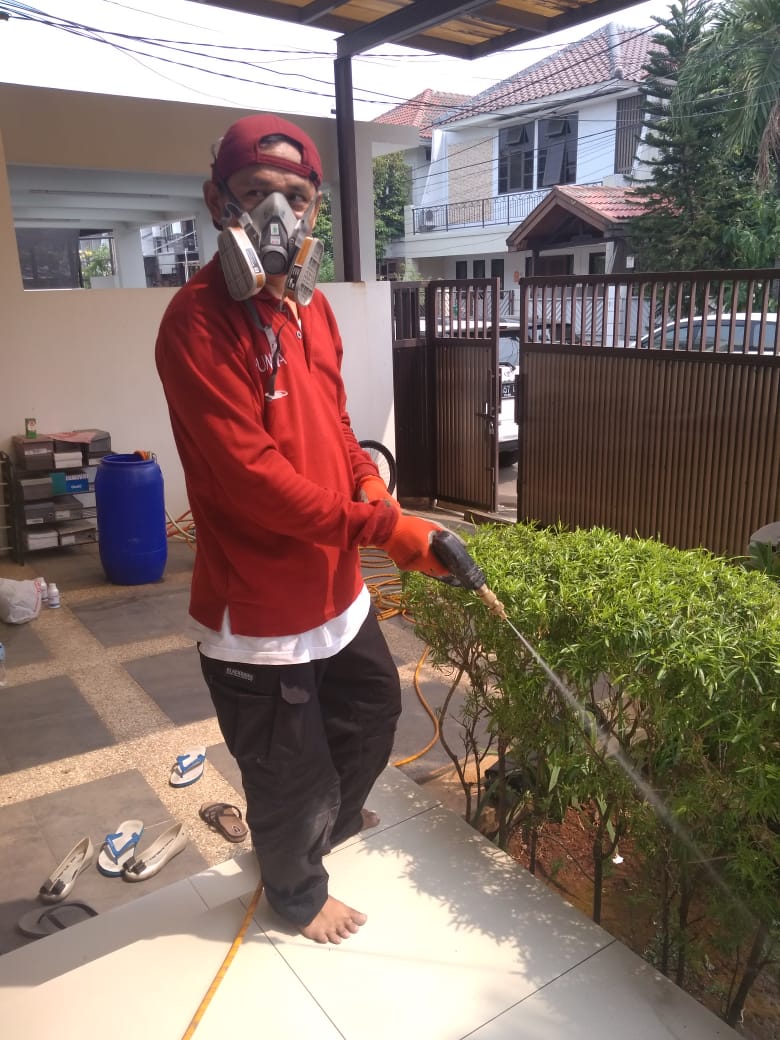 Biaya Anti Rayap Rumah Murah dan Terjamin