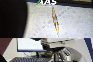 Laboratorium Lingkungan: Garda Terdepan Penjaga Kualitas Hidup dan Pembangunan Berkelanjutan